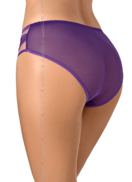 AXAMI-V-8073-panties-purple-back