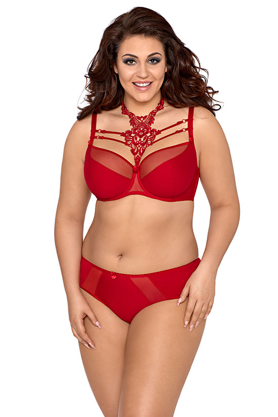 axami-V-8431-plus-size-bra-red-plus-size-bra-and-V-8423-red-knickers-female-briefs