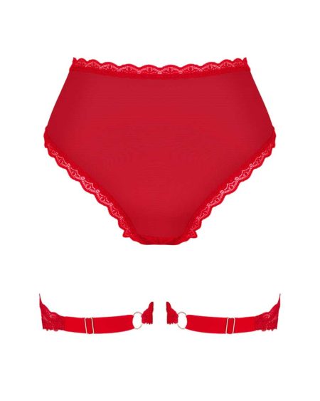 Obsessive-belovya-seductive-red-garter-panties-back-packshot
