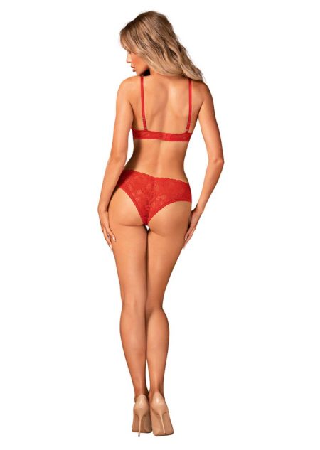 Obsessive-atenica-RED-LINGERIE-BRA-set-with-lacy-panties-back-1